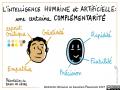 08. Bruno De Lievre - intelligences complémentaires